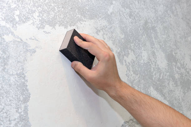 Mold Documentation for Insurance Claims in East Renton Highlands, WA