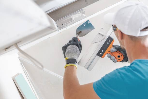 Best Mold Remediation for Healthcare Facilities  in East Renton Highlands, WA